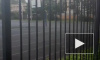 Видео: на Дыбенко из здания школы пошел дым