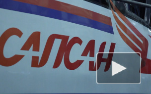 Билеты на "Сапсаны" подешевеют на 40%