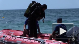 В акватории Севастополя водолазы МЧС нашли неразорвавшийся боеприпас