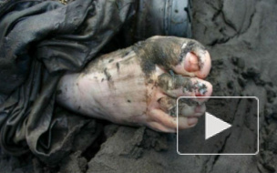 Тело полуобнаженной женщины нашли рядом с трассой в Мурино, а кости человека — в поселке Металлострой