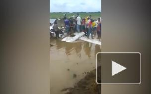 В Эквадоре шесть человек погибли при крушении легкого самолета