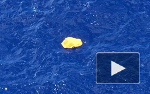 Эксперты рассказали страшную правду о взрыве на борту самолета EgyptAir