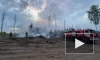 К тушению огня в мордовском заповеднике привлекли почти 900 человек и два пожарных поезда
