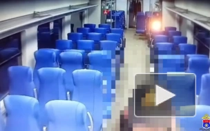 Пассажир "Ласточки", прибывший в Петербург из Новгорода, украл монитор