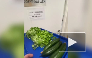 Первым урожаем похвастались на антарктической станции Восток 