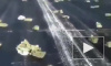 Появилось видео из Якутии с разбросанными золотыми слитками