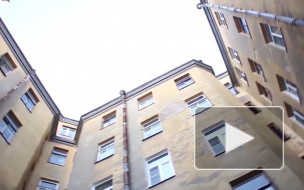 Стало известно, куда в Петербурге можно пожаловаться на соседей