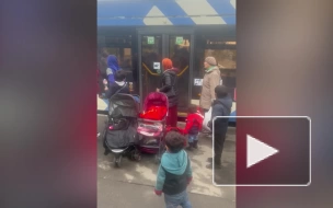 Представительниц кочевого народа с детьми выгнали из троллейбуса в Петербурге