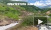 Медведь на Камчатке напал на спящую туристку