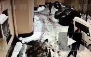 Драка студентов Военмеха из-за девушки закончилась стрельбой