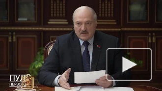 Лукашенко: Польша и Прибалтика сосредоточили у границ Белоруссии более 30 тысяч военных