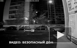Видео: на Богатырском женщина украла дерево вместе с клубнем