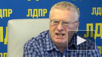 Жириновский назвал Украину поджигателем войны и пообещал ее уничтожить