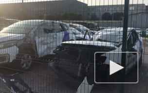 В Петербурге нашли "кладбище" каршеринговых автомобилей 