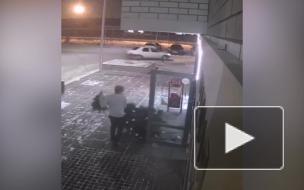 Житель Тюмени украл новогоднюю елку из салона красоты