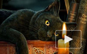 Что и почему нельзя делать: Топ-10 суеверий и их логических объяснений