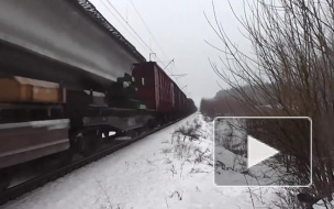 В Пермской области пьяный подросток угодил под колеса поезда