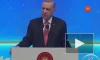 Эрдоган намерен поднять вопрос новой конституции после выборов