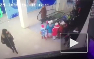 Видео: В Ставрополе пятерых школьников затянуло в эскалатор
