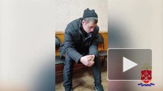 Жителя Кузбасса, который привел в квартиру коня, арестовали на сутки