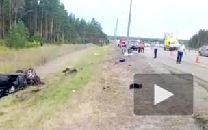 Видео с места ДТП: В Липецкой области в ДТП погибла почти вся семья из Санкт-Петербурга 