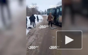 В Ступине маршрутка столкнулась с грузовиком
