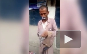 В Йемене мужчина съел сырого голубя вместе с перьями