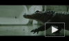 OneRepublic презентовали новый клип