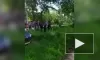 Видео: В Кинешме под Ивановом возле школы нашли 2-метрового питона 