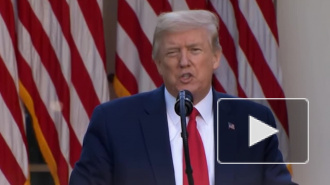 Трамп: США рассматривают варианты ответственности Китая за коронавирус