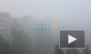 Утром 3 сентября Санкт-Петербург накрыл туман: днем ожидается до плюс 23