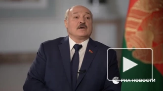 Лукашенко допустил проведение досрочных президентских выборов в Белоруссии