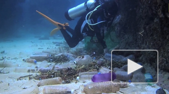 WWF: в мировой океан ежегодно попадает от 5 до 12 млн тонн пластика