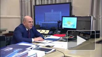 Мишустин рассказал, кому дадут второй "дальневосточный гектар"
