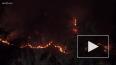 Калифорния объявила режим ЧС