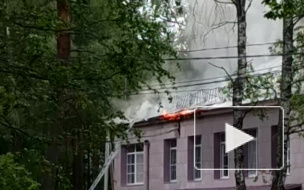 Видео: в Петербурге эвакуировали детей из горящего детского сада