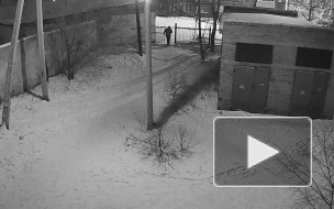В Улан-Удэ неизвестный напал на школьницу у школы и попытался ее изнасиловать