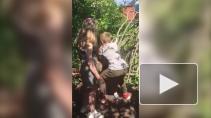 Российские школьники избили сверстницу и сняли это на видео