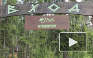 Петербуржцы научатся летать