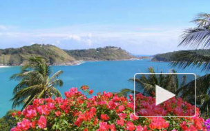 Российских туроператоров подозревают в мошенничестве, возбуждены уголовные дела, пострадали десятки тысяч граждан