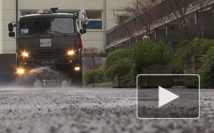 Украинцы, проживающие в Италии, "взбунтовались" из-за российской помощи