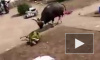Разъяренный бизон ворвался в туристическую деревушку в Индии и набросился на людей