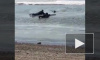 Отважное видео из Хабаровска: Мужчины спасли пса, который ушел под лед