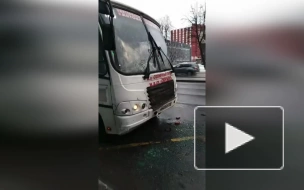 На проспекте Стачек маршрутное такси врезалось в троллейбус