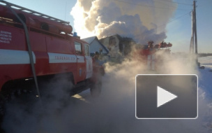 В Омской области при пожаре погибли 5 приемных детей