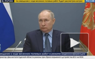 Путин призвал обеспечить сельхозпроизводителей семенами