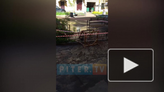 Видео: на Большой Морской прорвало трубу с кипятком