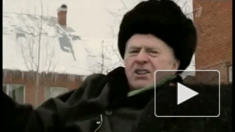 Собчак хочет наказать Жириновского за истязание маленького ослика