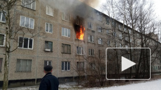 В Невском районе детей из горящей квартиры спасли через окно