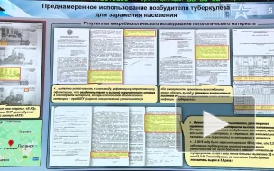 МО: распространенные в ЛНР фальшивые деньги заразили устойчивым к лекарствам туберкулезом